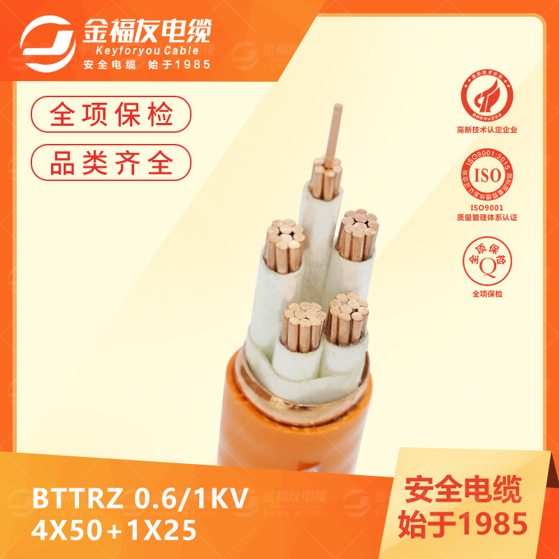 yy易游体育
yy易游体育-6.12-BTTRZ-0.61kV-4X50+1X25