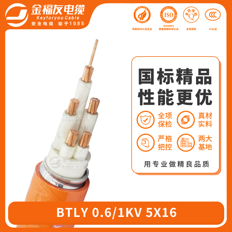 yy易游体育
yy易游体育-6.19-BTLY-0.6-1kV-5X16