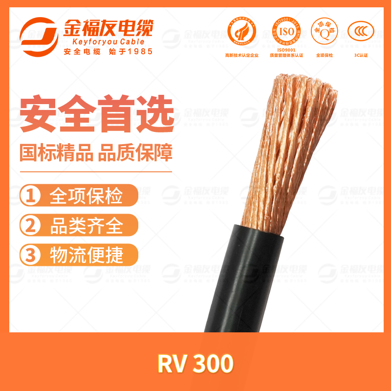 yy易游体育
yy易游体育-7.11-RV-300