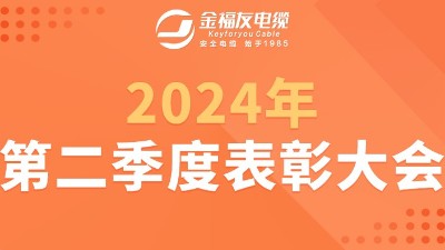 yy易游体育
电缆2024年第二季度表彰大会