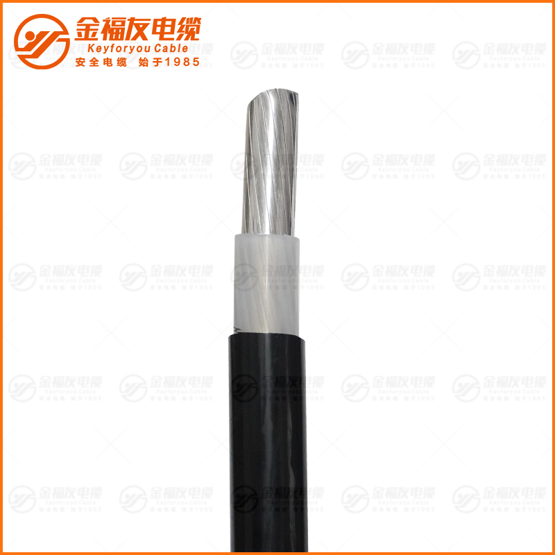 YJLHV  0.6 1KV 1X300